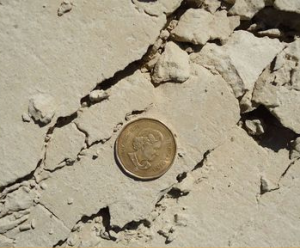 Clay Fill
