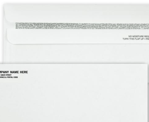 Confidential Self-Seal Envelope