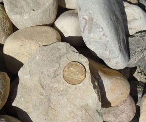 Field Stone Rip Rap