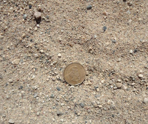 Fill Sand (Non-Spec)