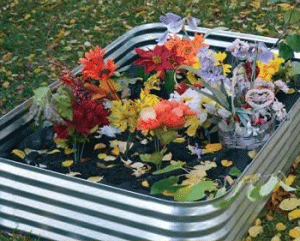 Garden Beds