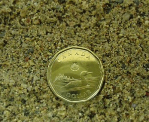 Green Winter Sand