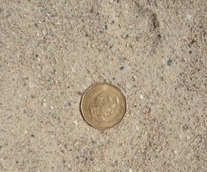 Masonry Sand / Mortar Sand