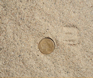 Playbox Sand