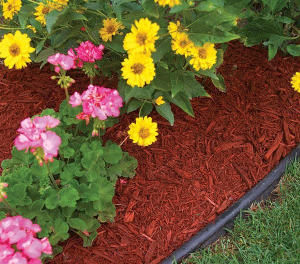 Red Mulch