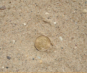 Septic Sand - C33