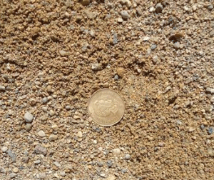 Winter Sand